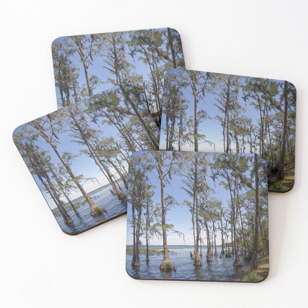 Item preview, Lake Louisa State Park, Florida 21 designed and sold by jrtwynam.