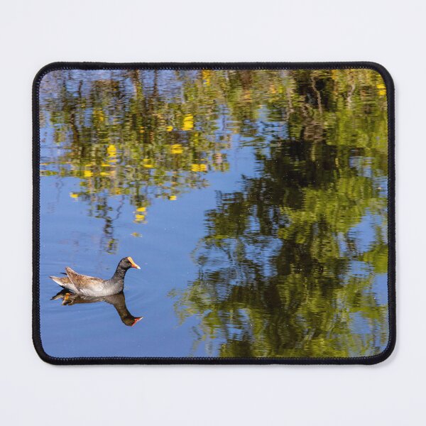 Item preview, Tranquil Scene at Lake Apopka designed and sold by jrtwynam.