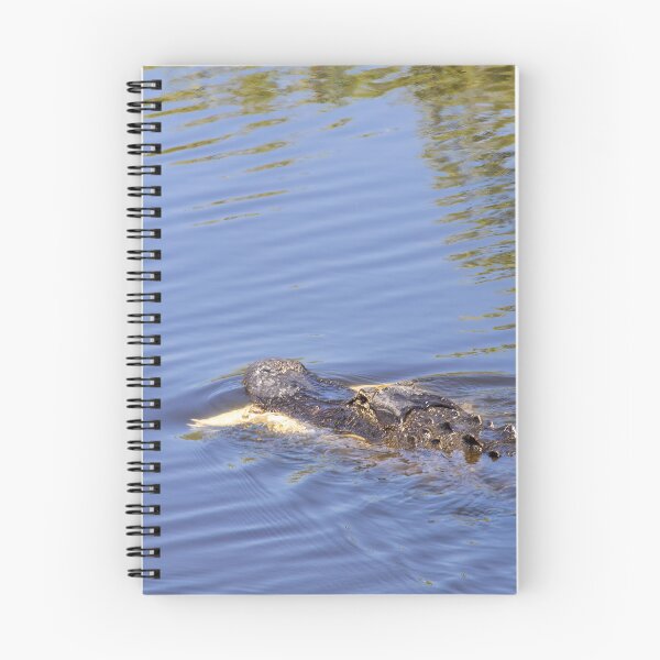 Item preview, Tranquil Lake Apopka Alligator designed and sold by jrtwynam.