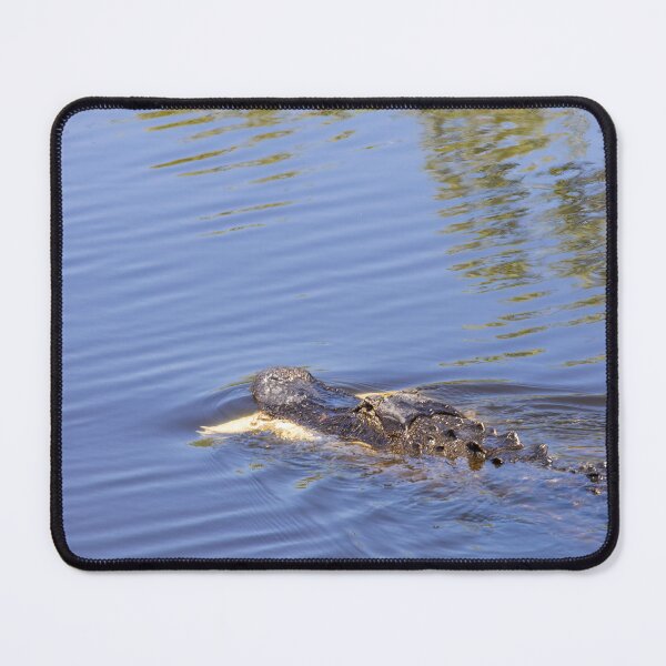 Item preview, Tranquil Lake Apopka Alligator designed and sold by jrtwynam.