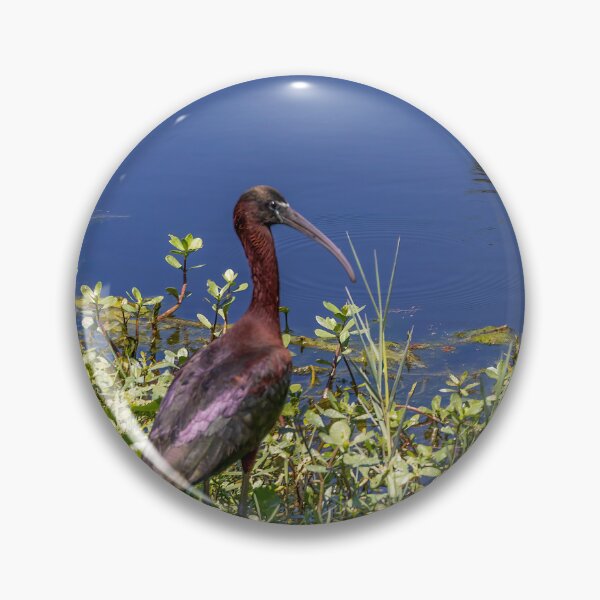 Item preview, Ibis at Lake Apopka designed and sold by jrtwynam.