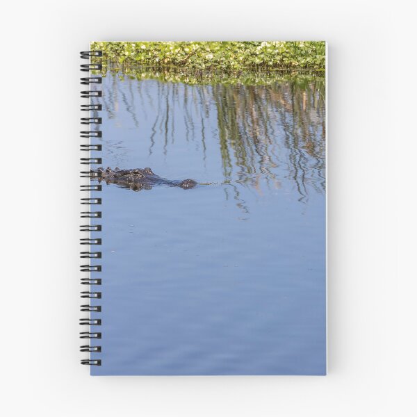 Item preview, Alligator at Lake Apopka, Orlando, Florida designed and sold by jrtwynam.