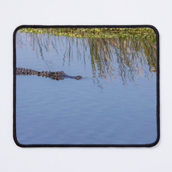 Item preview, Alligator at Lake Apopka, Orlando, Florida designed and sold by jrtwynam.