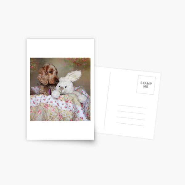 friends Postcard