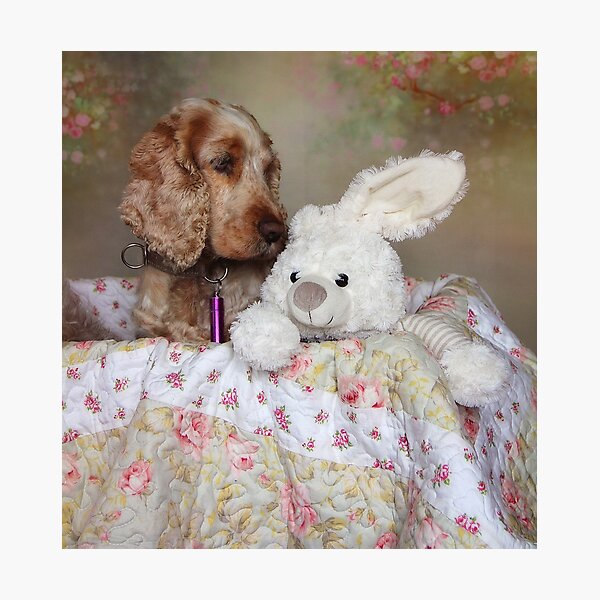 friends Photographic Print