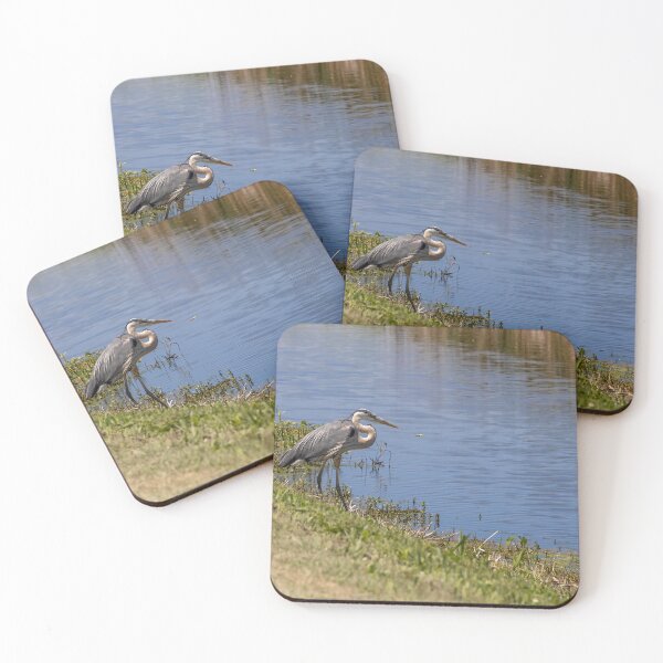Item preview, Great Blue Heron at Lake Apopka designed and sold by jrtwynam.