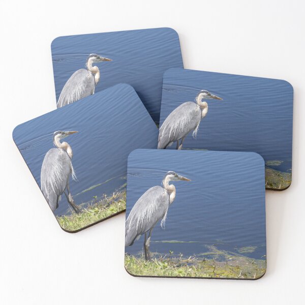 Item preview, Great Blue Heron at Lake Apopka 2 designed and sold by jrtwynam.