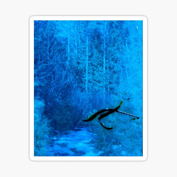 Item preview, Blue Forest designed and sold by SPMPhotography.