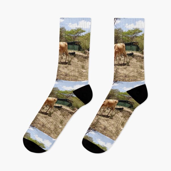 Item preview, A cows photo I took during a safari at Masai Mara Game Reserve! designed and sold by Jamesk82.