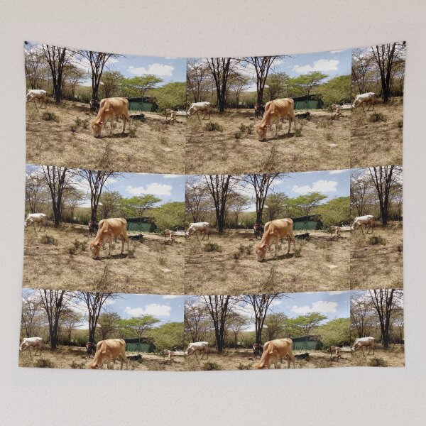 Item preview, A cows photo I took during a safari at Masai Mara Game Reserve! designed and sold by Jamesk82.