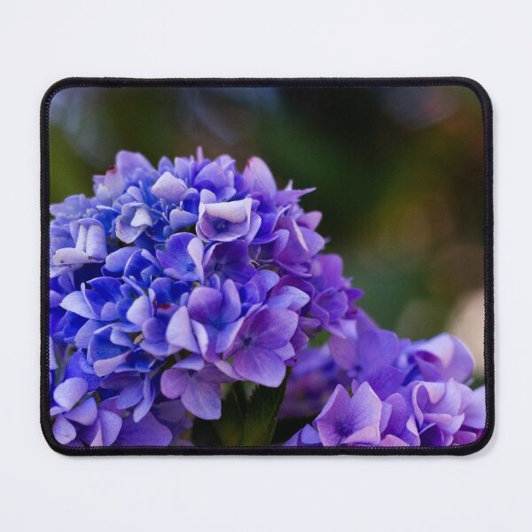 Item preview, Hydrangeas  designed and sold by BugArtnDesign.