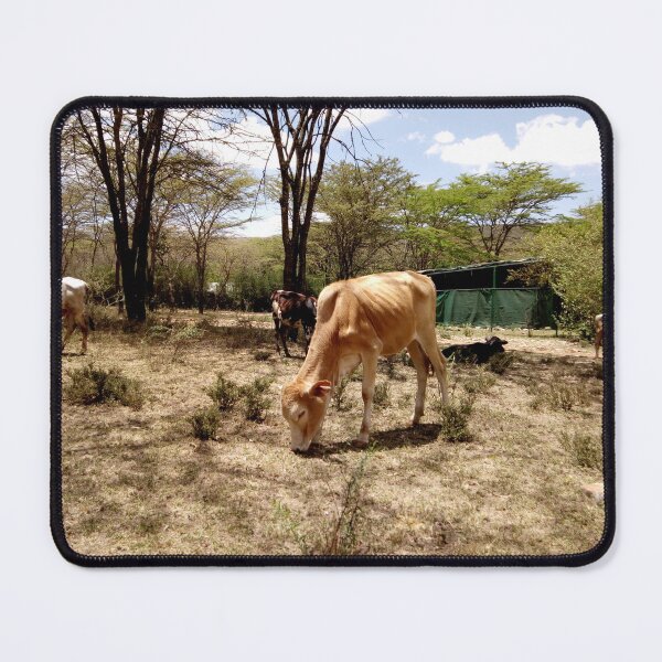 Item preview, A cows photo I took during a safari at Masai Mara Game Reserve! designed and sold by Jamesk82.