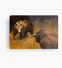 Bear Vs Bull Metal Print