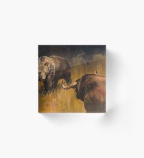 Bear Vs Bull Acrylic Block