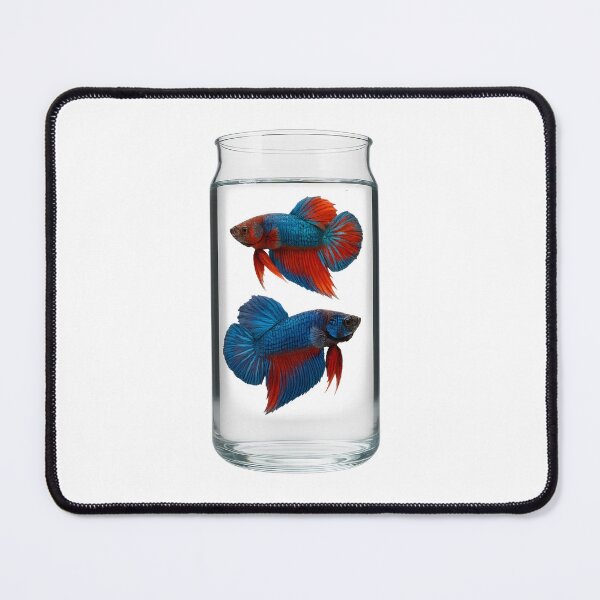 Item preview, Two betta fish gracefully swim inside a glass jar. designed and sold by CHAMP639.