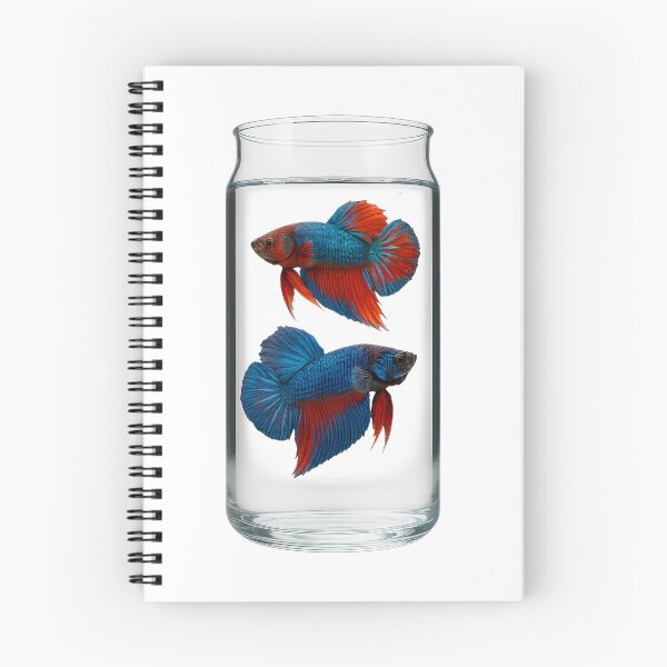 Item preview, Two betta fish gracefully swim inside a glass jar. designed and sold by CHAMP639.