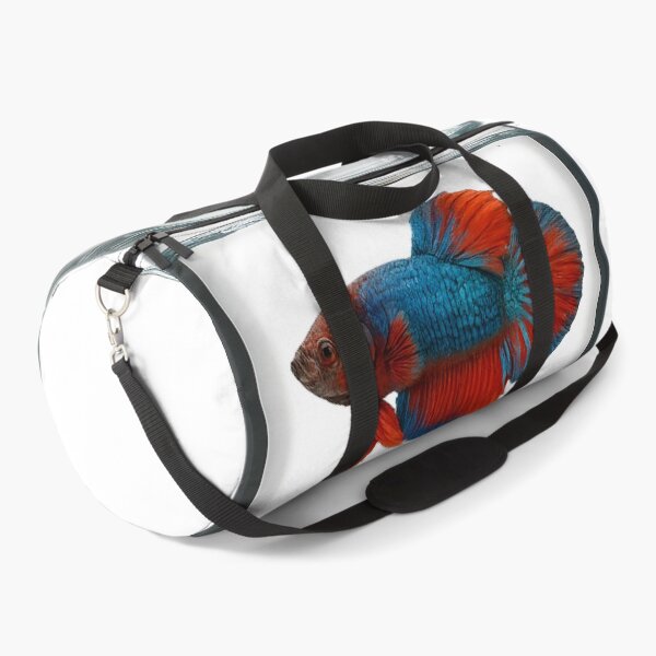 Item preview, Two betta fish gracefully swim inside a glass jar. designed and sold by CHAMP639.
