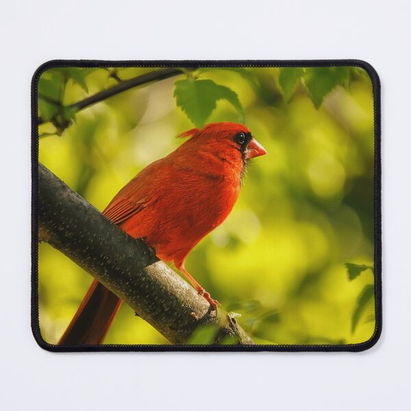 Item preview, Watching The Sun Set designed and sold by Lois  Bryan.