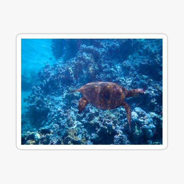 Item preview, Turtle underwater 1 designed and sold by Cblifeisgood.