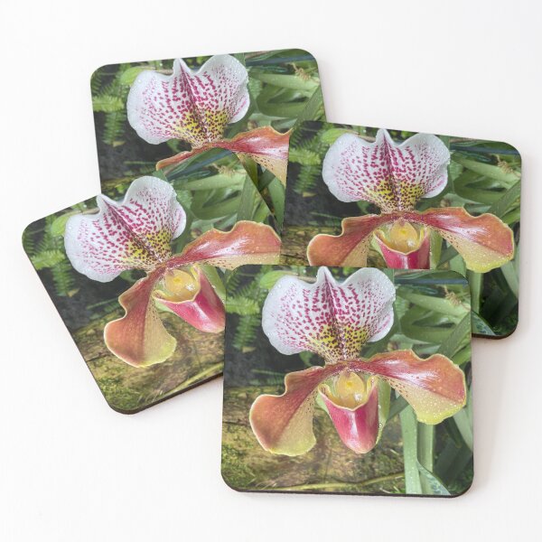 Item preview, Water Droplets on an Orchid Blossom designed and sold by Bud, Blossom & Bloom.