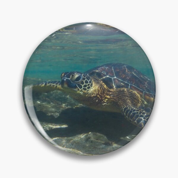 Item preview, Turtle underwater 4 designed and sold by Cblifeisgood.