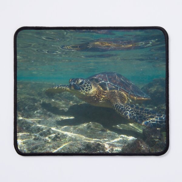 Item preview, Turtle underwater 4 designed and sold by Cblifeisgood.