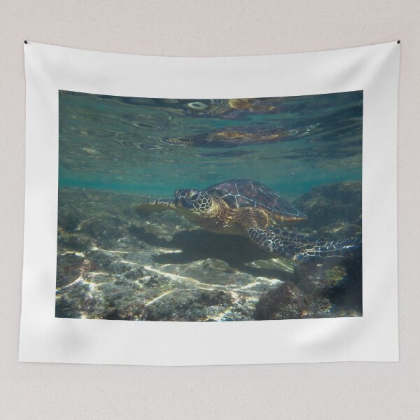Item preview, Turtle underwater 4 designed and sold by Cblifeisgood.