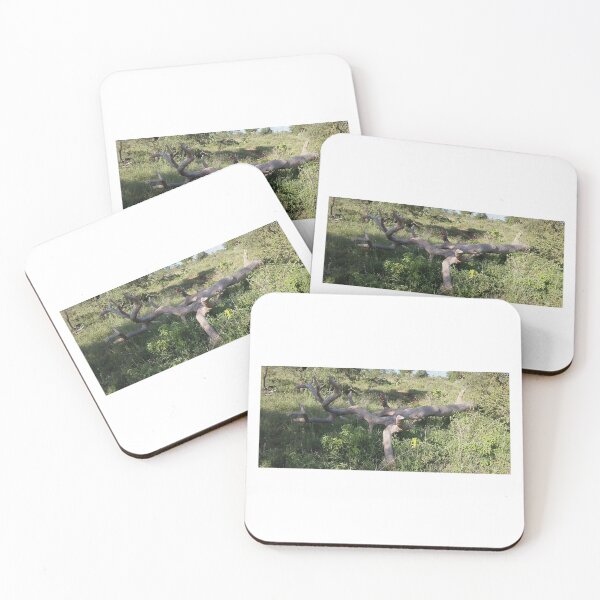 Item preview, A tree log on green grass in Kenya! designed and sold by Jamesk82.
