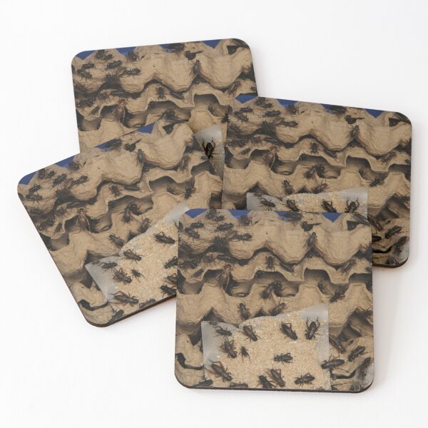 Item preview, Crickets feeding on their food! designed and sold by Jamesk82.