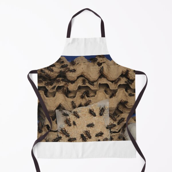 Item preview, Crickets feeding on their food! designed and sold by Jamesk82.