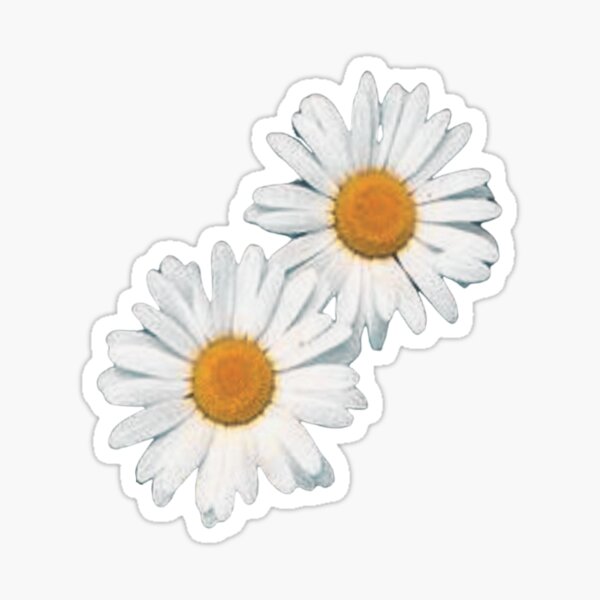 Item preview, Couple of daisies designed and sold by di-Vera-Rosati.
