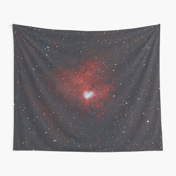 Fossil Footprint Nebula Tapestry