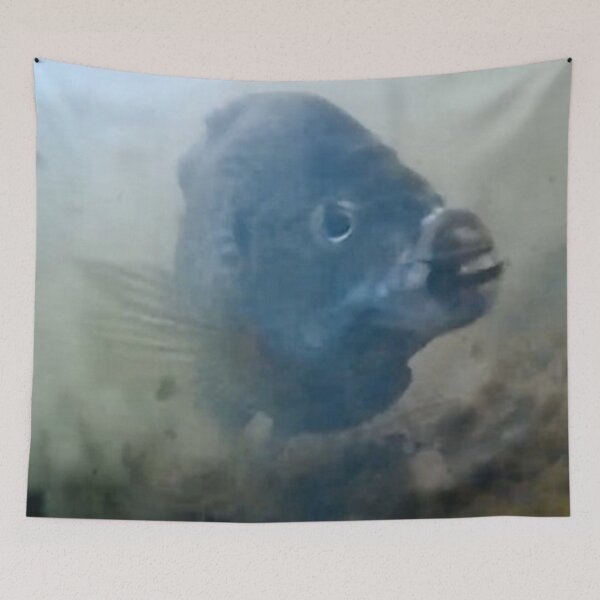 Item preview, Bluegill Feeding on the Lake Bottom designed and sold by CJRPics.