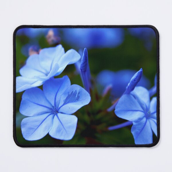 Item preview, Azul designed and sold by equilibrio.