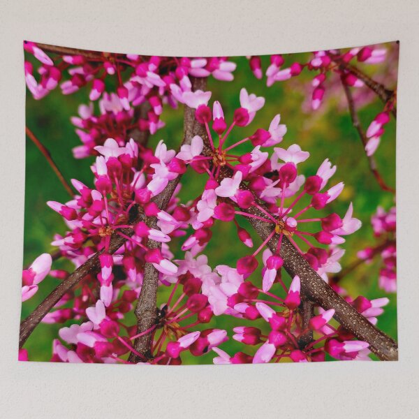 Item preview, Blooming Redbud Cluster designed and sold by bjtomiko.