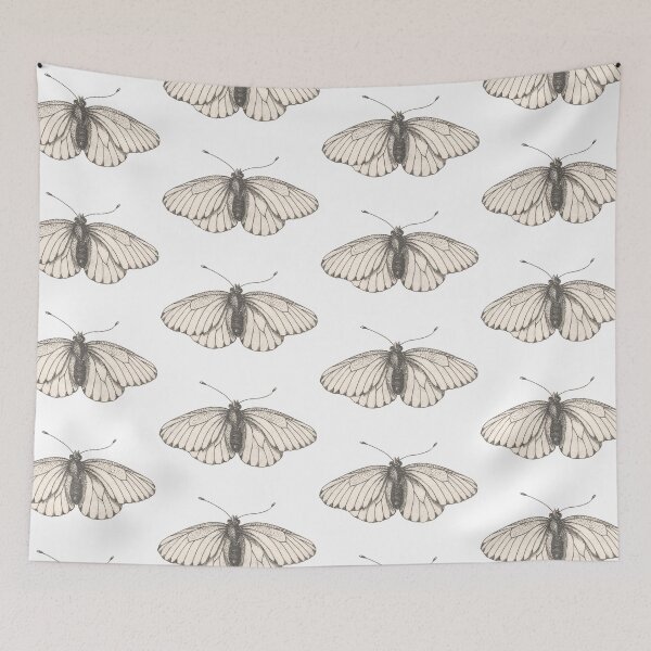 Item preview, Antique Moth Drawing, Entomology Illustration  designed and sold by HawthorneFlame.