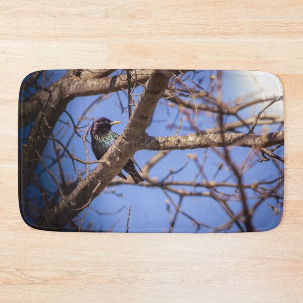 Item preview, Common Grackle is Uncommonly Beautiful designed and sold by Split2ndPhotos.