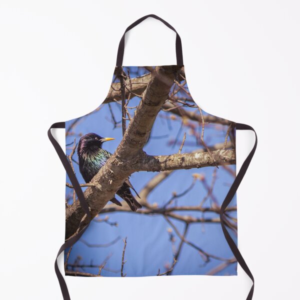 Item preview, Common Grackle is Uncommonly Beautiful designed and sold by Split2ndPhotos.
