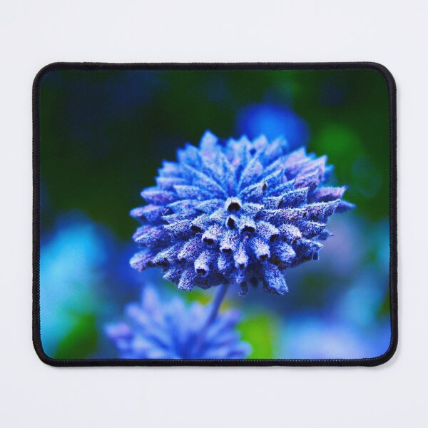 Item preview, Azul designed and sold by equilibrio.