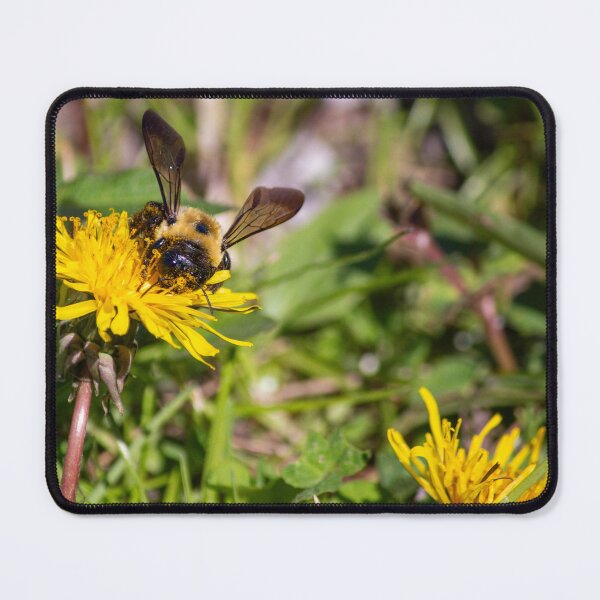 Item preview, Bumble Bee designed and sold by Split2ndPhotos.