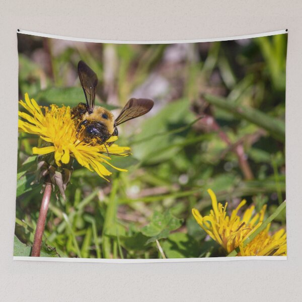 Item preview, Bumble Bee designed and sold by Split2ndPhotos.