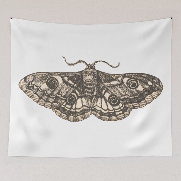 Item preview, Peacock Moth Drawing, Entomology Illustration  designed and sold by HawthorneFlame.