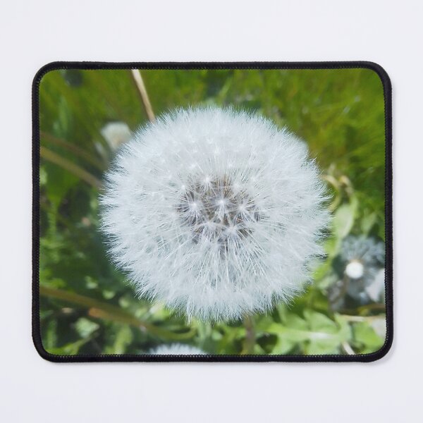 Item preview, Large Dandelion designed and sold by VincentArtHouse.