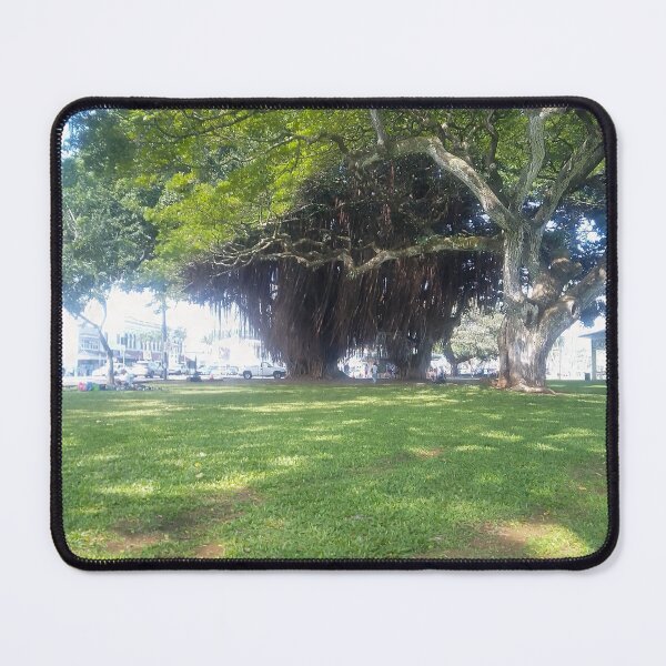 Item preview, Banyan Tree designed and sold by VincentArtHouse.