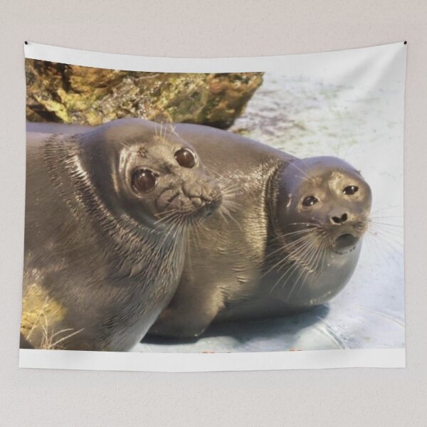 Item preview, sealpill designed and sold by pierrussy.
