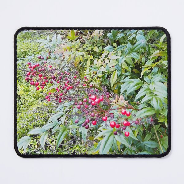 Item preview, Berries on a Bush designed and sold by VincentArtHouse.
