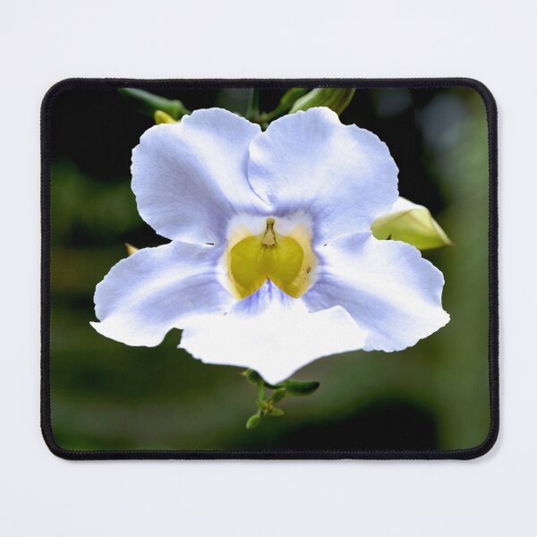 Item preview, bluish orchid designed and sold by EmmePonsImages.