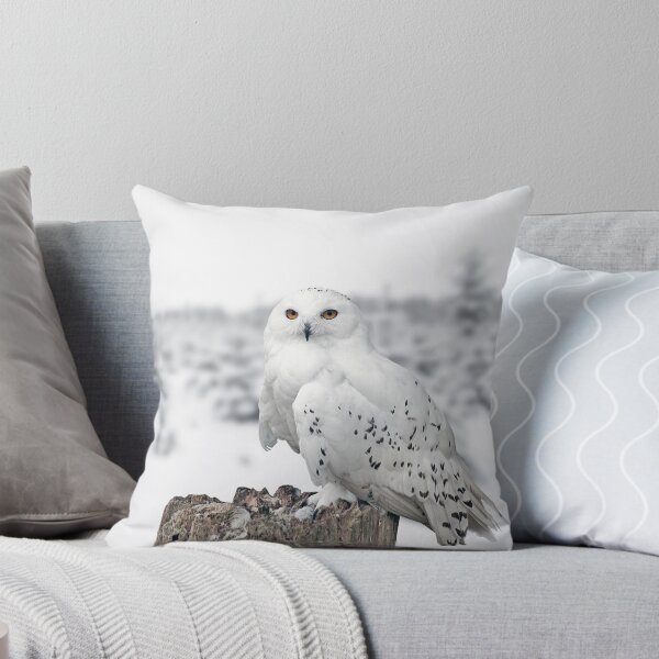 Item preview, owl in the snow designed and sold by Murph's Images.