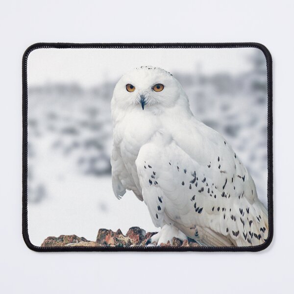 Item preview, owl in the snow designed and sold by Murph's Images.