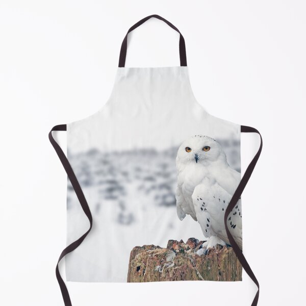 Item preview, owl in the snow designed and sold by Murph's Images.